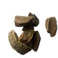 Natural Ilex Rotunda Bark Wholesale Ovateleaf Holly Bark for Sale