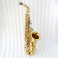 Professional Eb Alto Saxophone with Gold Lacquer Finish Brass Body Waterproof Case-High Grade 54 Model