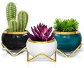 Dropshipping Succulent Planters With Metal Frame Zakka Combination Potted Ceramic Plant Pots