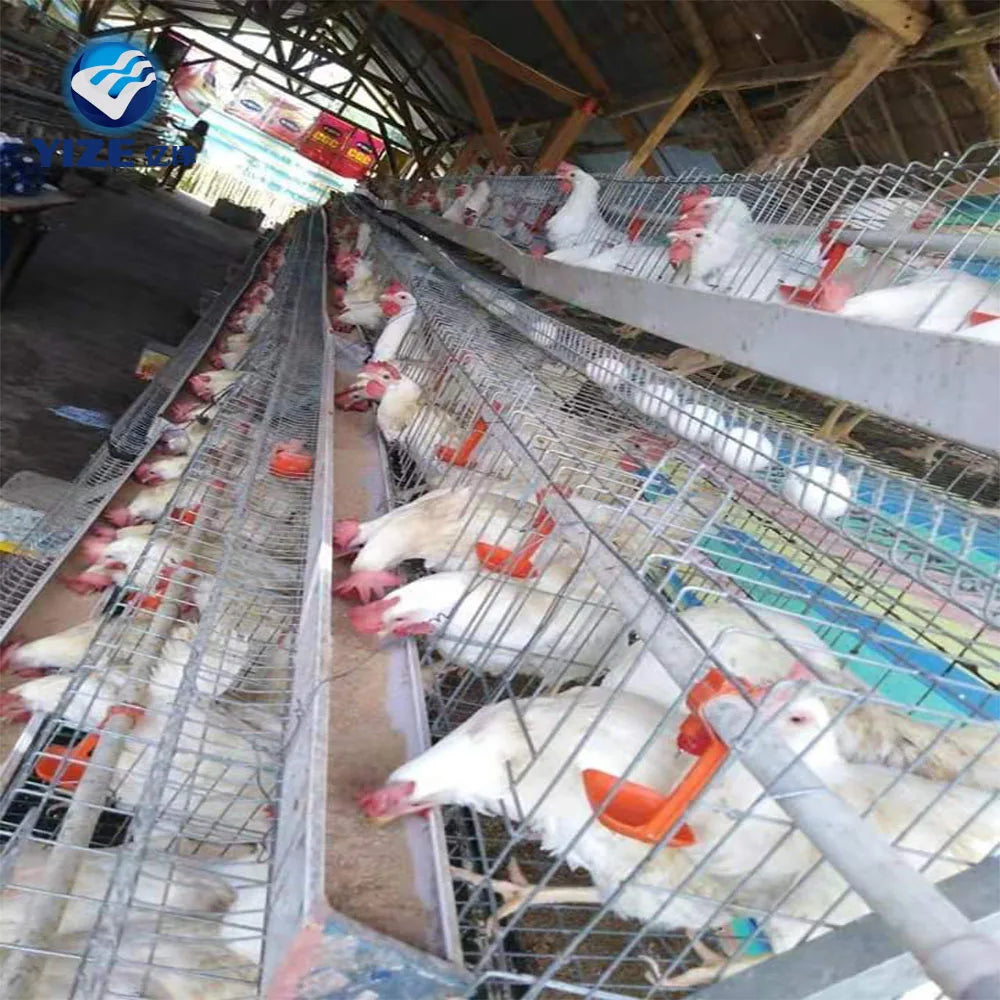 Cheap Price Chicken Cage in Pakistan Building a Type Chicken Coop Hen Cage Design Layer Poultry House Farm