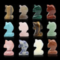Huiying Healing Crystals Stones 1.3inch Gemstone Healing Carving Crafts Dolphin Set for Gift Crafts