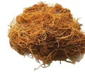 Jin Si Shua Fungus Edible Chlorea Cladonioides Whole and Dried Lethariella Cladonioides Mushroom for Sale