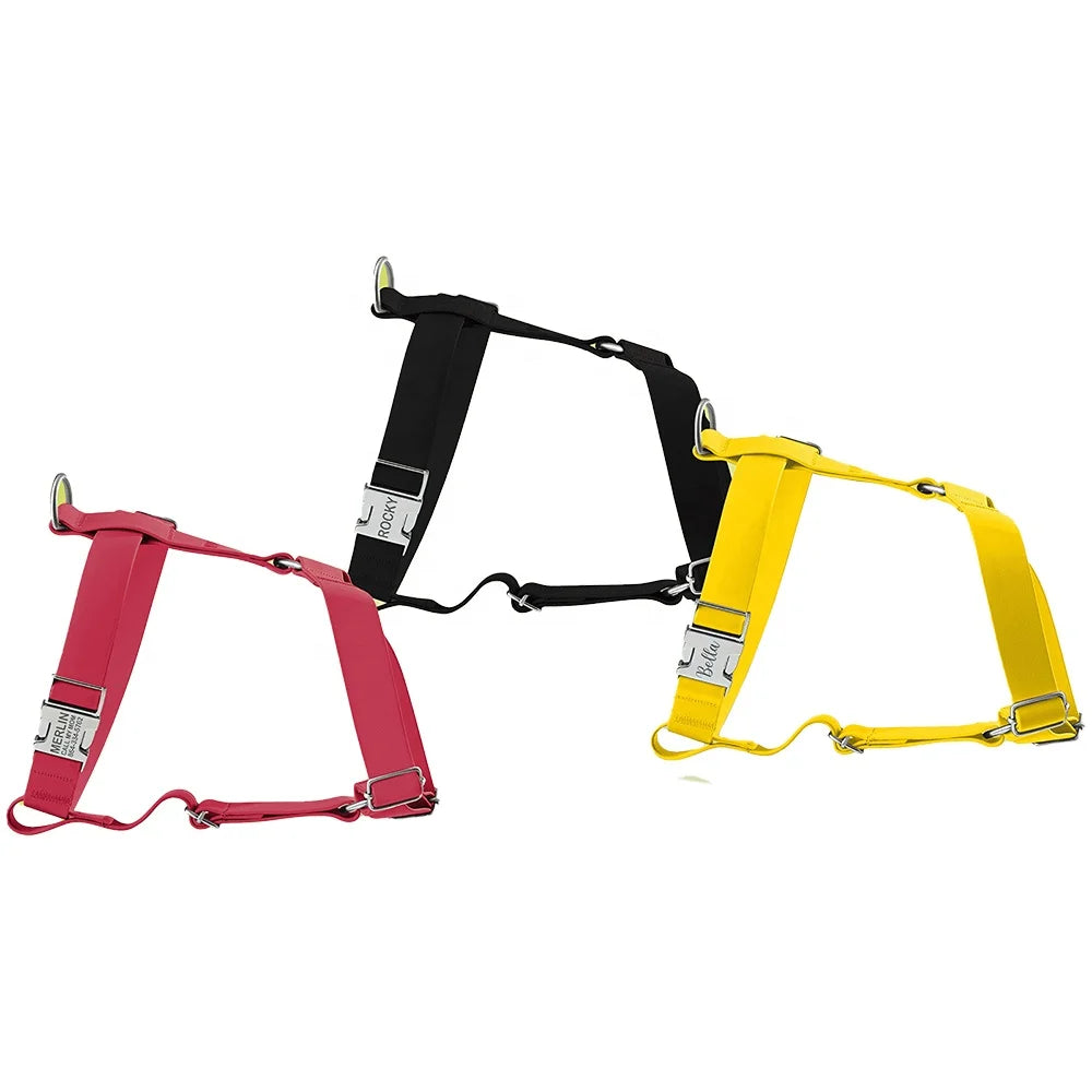 2025 Soft Easy to Clean Waterproof Pvc Pet Dog Harness Set Adjustable Pvc Silicone Pet Dog Harness and Leash Walk Set