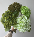 Y-H181 High Quality Artificial Hydrangeas Real Touch Latex Hydrangea Large Head Green White Latex Hydrangea Wedding Flower