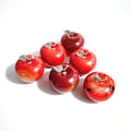 DIY Good Souvenir Natural Polished Quartz Hand Engraving Red Agate Crystal Apples for Collection