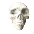 Cheap price sale natural rock howlite quartz human head crystal skulls carving for fengshui