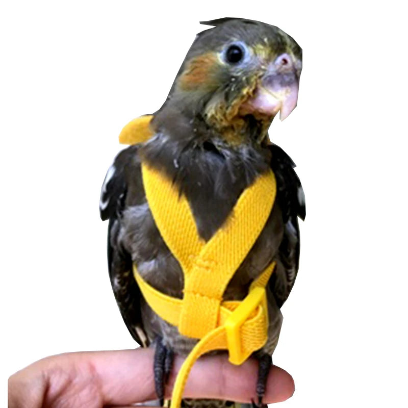 Adjustable Bird Flying Harness Rope with Wing for Parrots Pigeons Budgerigar Lovebird Cockatiel Bird Harness Leash Bag Strap