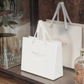 Gift Jewelry Packaging Paper Bag Fashion Printed Paper Clothing Bag Luxury Shopping Paper Bag with Ribbon Handle