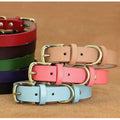 Durable Pu Leather Dog Collar for Small Dogs Puppy Comfort Leather Pet Collars With Adjustable Metal Buckle