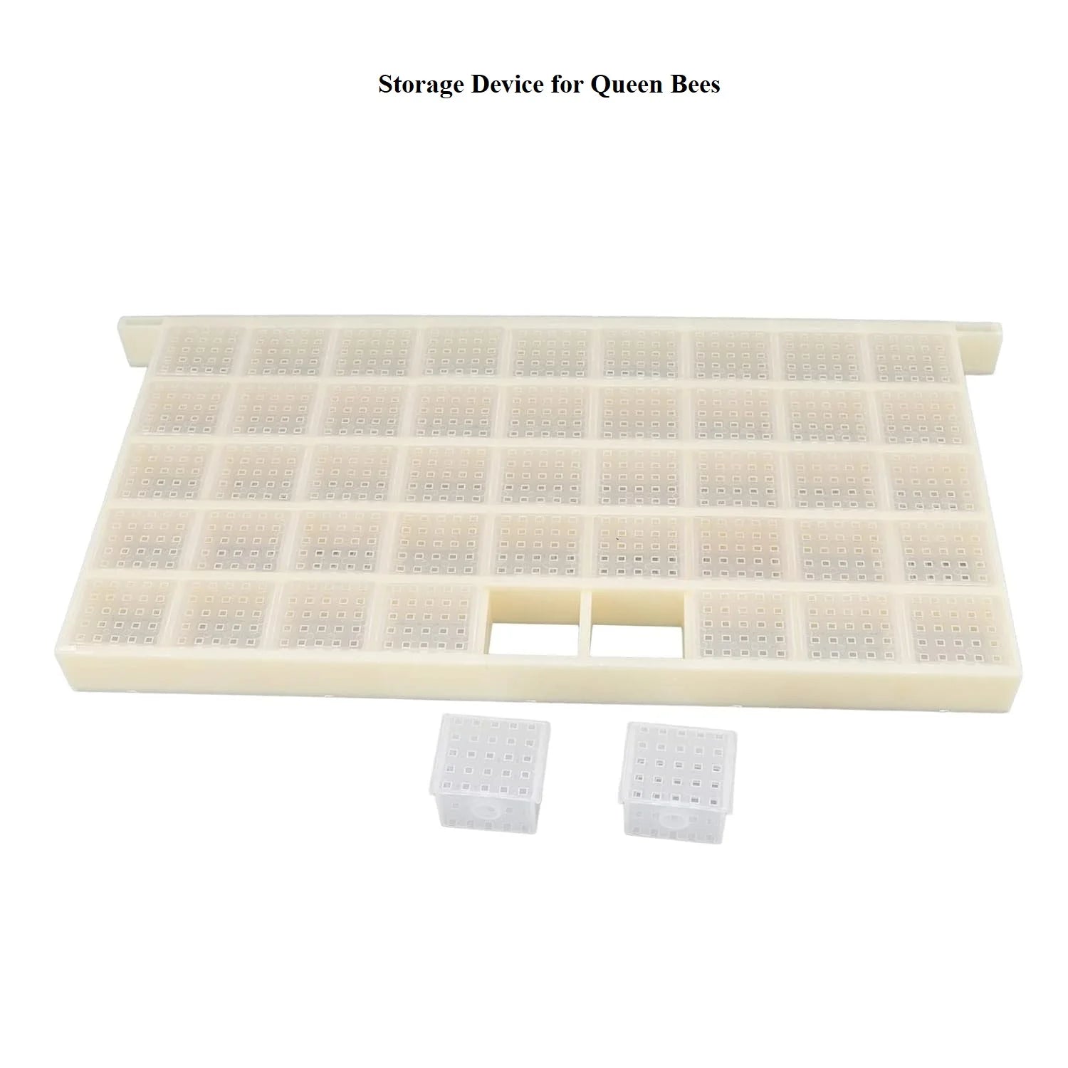 Queen Bees Large Capacity Plastic Breeding Feeding Tool Multifunctional New Reliable Centralized Management Animal Husbandry