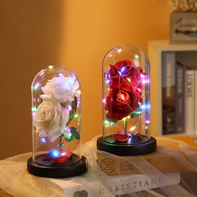 Eternal Rose in Glass Dome Artificial Valentines Gift Preserved Flowers in Glass Dome with Led