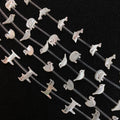 Cut Animal Shell Charms White Trochus Mother of Pearl Cat Pig Bird Dolphin Elephant Bead Jewelry Making DIY Bracelet Necklace