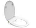 2024 Newly Launch Toilet Bidet Seat Dual Nozzle Self- Cleaning for Wash and Female
