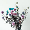 FBY02S-58 Wedding Decor Natural Dried Echinops  Preserved Globe Thistle Minimalist Blue Thistle Flower for Floral Arrangement