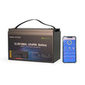 DELONGTOP 12V LiFePO4 100Ah Lithium Iron Phosphate Battery Pack APP Control SMART BMS Bluetooth 8000 Cycle Life 235x196x170mm