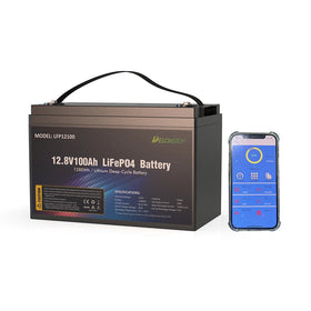 DELONGTOP 12V LiFePO4 100Ah Lithium Iron Phosphate Battery Pack APP Control SMART BMS Bluetooth 8000 Cycle Life 235x196x170mm