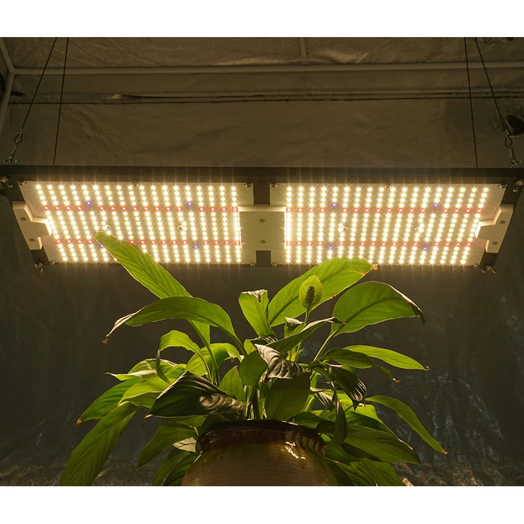 KingBrite 240W Lm301h QB288 V4 Led Boards LED Grow Light Mix 660nm with UV IR Grow Light