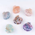 Hot Sale New Acetate Hair Claw Cute Mini Seashells Hair Clip Sweet Hair Accessories for Women