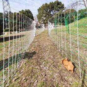 Electric Fence Sheep Netting Chicken Netting Plastic Netting Poultry Fence Netting with Posts