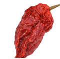 500g Super Hot Raw Dried Red New Naga Jolokia Fruits for Spice