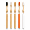 100% Biodegradable Replaceable Bamboo Toothbrush with Interchangeable Heads Eco Friendly Reusable Handle Toothbrush