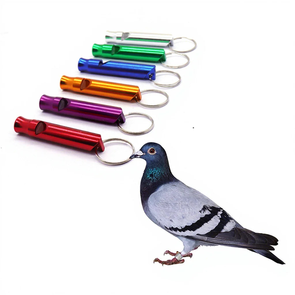 Promotional Metal Cheap Custom Aluminum Whistle Keychain Wholesale Whistle with Lanyard