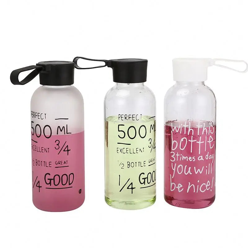 Portable Plastic Juice Lemon Water Drinking Bottle Graduation and Promotional Gift Water Bottle