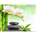 Flowers DIY Full Diamond Painting Flower 5D DIY Wall Sticker Embroidery Mosaic Lotus Cross Stitch  Landscape Diamond Art