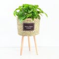 Garden Living Room Balcony Storage Baskets Woven Rattan Straw Flower Pot for Flower Apparatus Decorative Straw Woven Basket