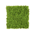 RSH RSH Indoor Outdoor Garden Anti-UV UV Artificial Grass Wall Panel Decoration Artificial Grass Plant Moss Wall