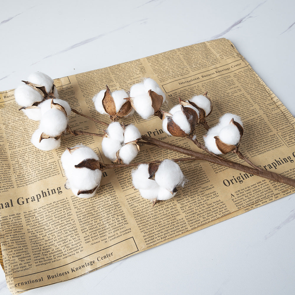 Hot Sale Artificial Cheap White Singly Heads Handmade 58CM Dried Cotton Flower Branch for Home Wedding Party Graduation