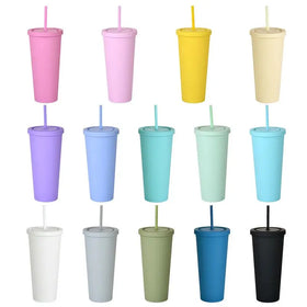 24oz Korean Style Double Wall 2011 New Products Plastic Material Coffee Mug with Lid and Straw for Presents Travel Outdoor