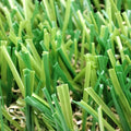 Customized Artificial Grass Synthetic Grass for Decoration Grass Good Prices