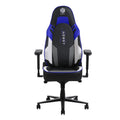 Wholesale Ergonomic Adult Gaming Chair-PU Leather Lift Chair 4D Armrest Aluminum Alloy Base Lumbar Support Headrest for Long