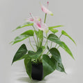 Artificial Potted Plants Calla Lily Bonsai Ornamental Plants for Officer Decoration