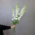 D-DE001 Wedding Decoration Supplies Delphinium Artificial Real Touch Blue Delphinium for Wedding Centerpiece Table Decor
