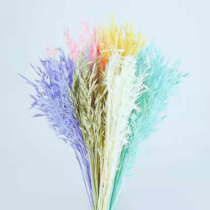 Beautiful Real Flowers Preserved Dried Wheat Preserved Flower Preserved Oats for Wedding Home Decoration
