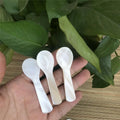 2024 Caviar Spoon From Shell Size 10cm Handmade