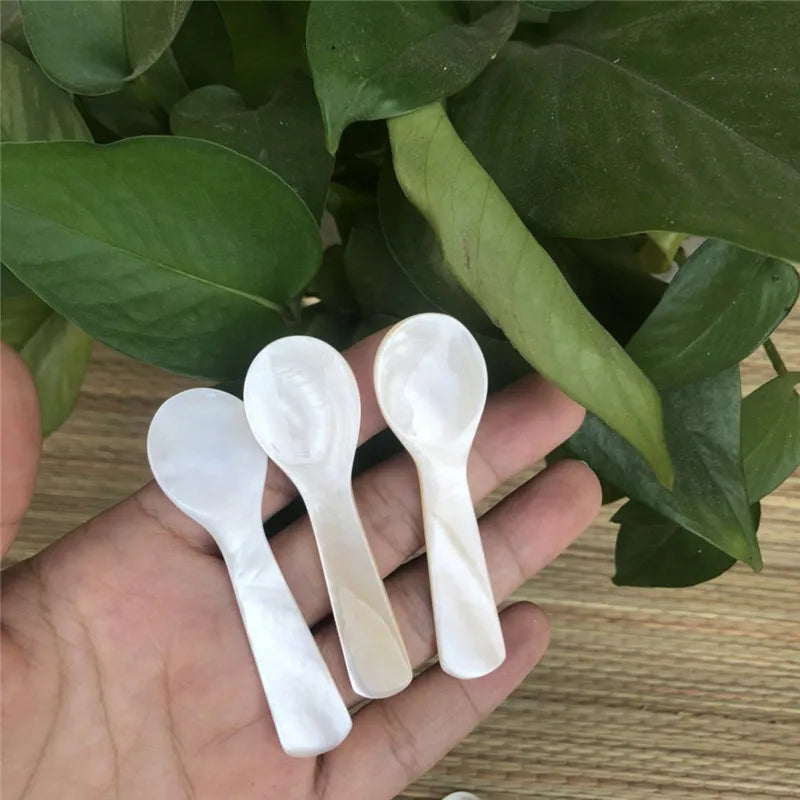 2024 Caviar Spoon From Shell Size 10cm Handmade