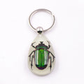 Fashion Luminous Amber Resin Keychain Real Insect Scorpion Ants Noctilucent Keyring Gift Wholesale