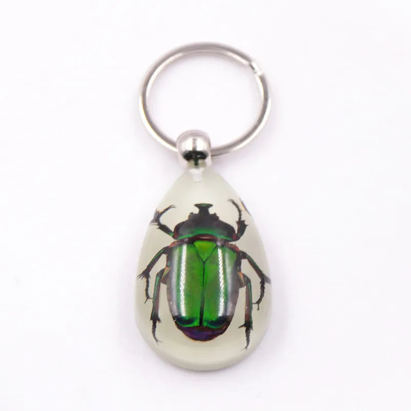 Fashion Luminous Amber Resin Keychain Real Insect Scorpion Ants Noctilucent Keyring Gift Wholesale