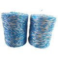 (RIOOP) Hot Sale 3 Strands Twisted Polypropylene Raffia Packing String PP Baler Twine for Balling Hay Grass