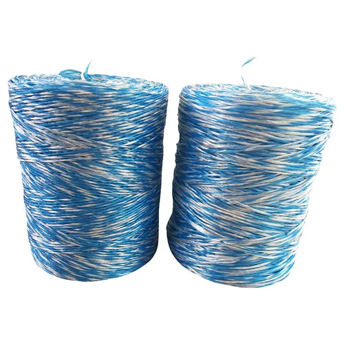 (RIOOP) Hot Sale 3 Strands Twisted Polypropylene Raffia Packing String PP Baler Twine for Balling Hay Grass