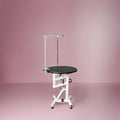 Petsproofing Multifunction Air Lifting Stainless Steel Dog Pet Grooming Table Used for Veterinary Clinic and Hospital