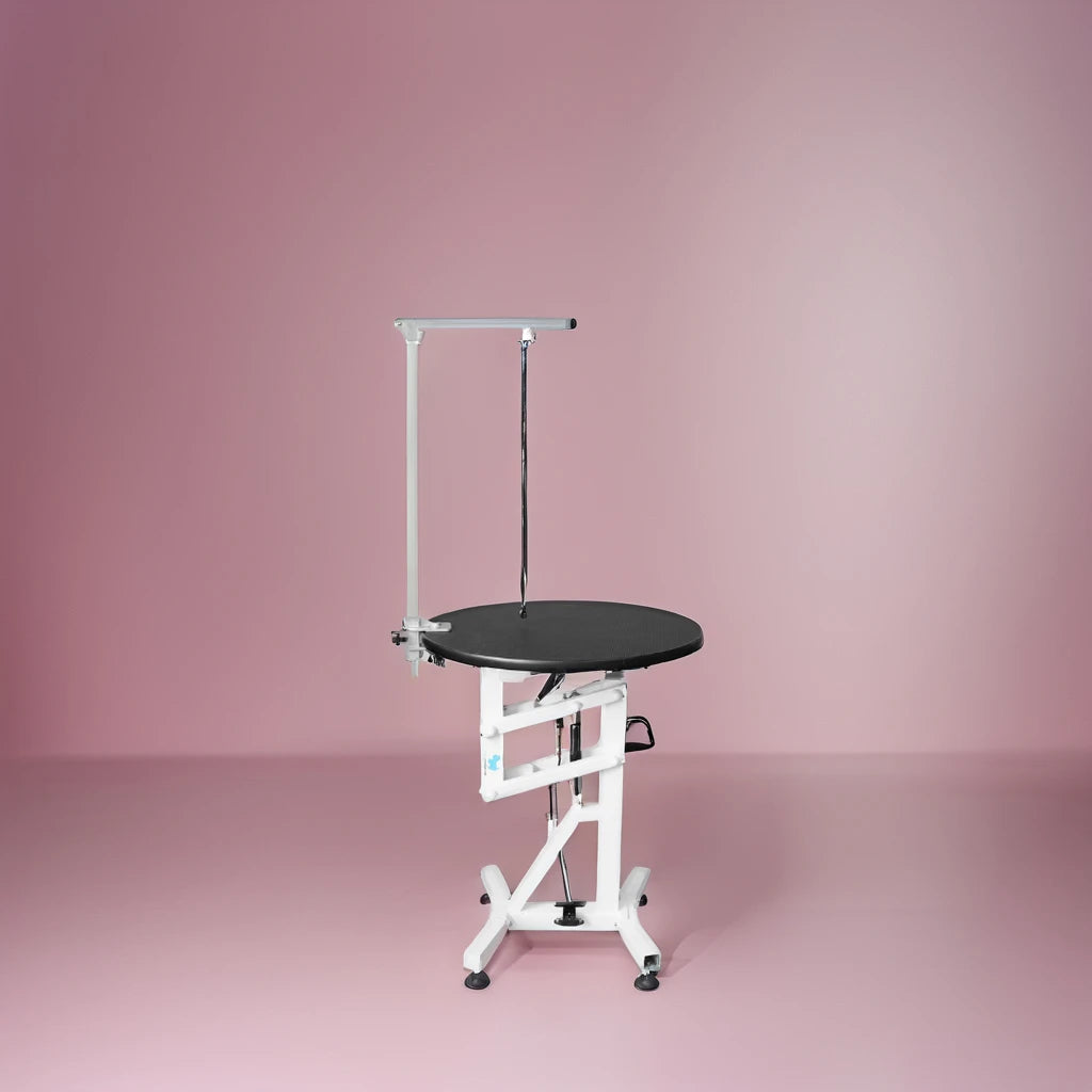 Petsproofing Multifunction Air Lifting Stainless Steel Dog Pet Grooming Table Used for Veterinary Clinic and Hospital