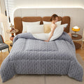 Cozy Soft Lamb Fleece Velvet Duvet - Comfort Embroidered Heavy Quilt for Ultimate Warmth Luxurious Home Bedding