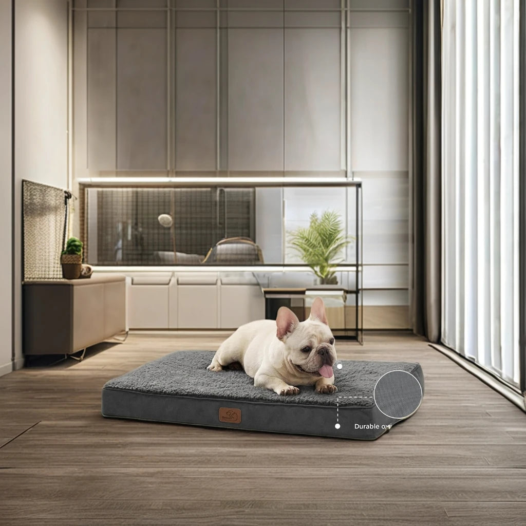 Modern XL Orthopedic Dog Bed for Large Pets Solid Foam with Removable Washable Animal Pattern Cover for Cats and Dogs