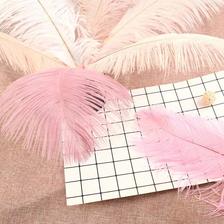 Wholesale Colorfully Ostrich Hairs Different Size Ostrich Feather Top Natural Cheap Artificial Feathers