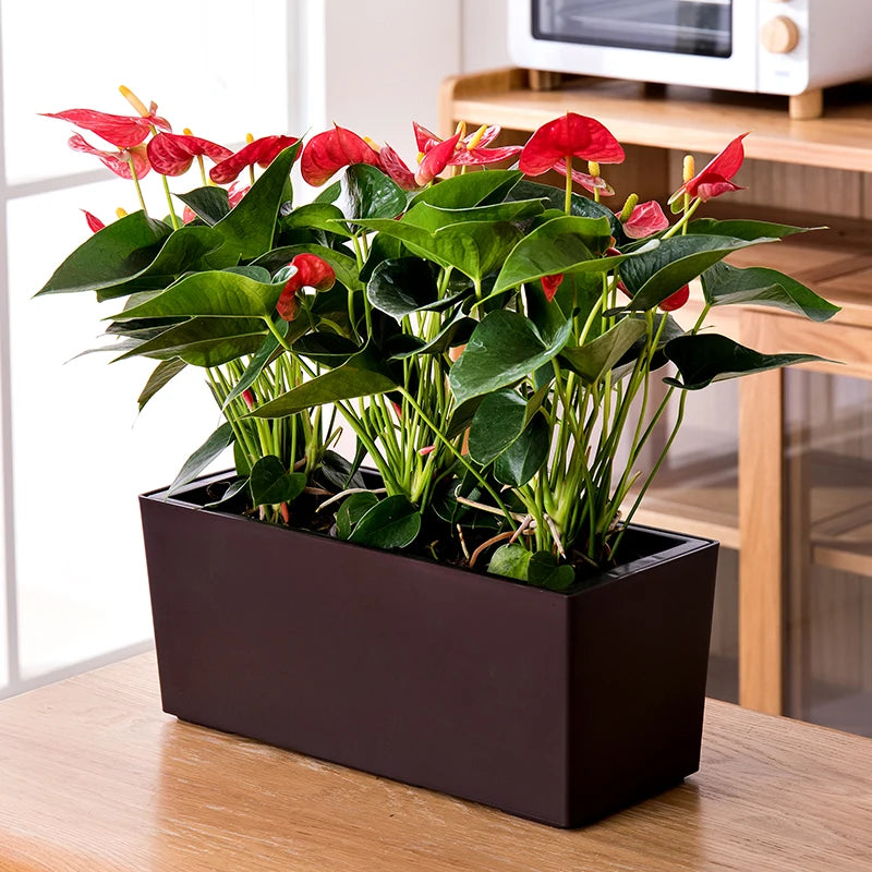 BRICE Vasos De Jardimhanging Plant Pots Outdoor Self Watering Square Pots for Indoor Plants Pvc Vinyl Plastic Raised Garden Bed
