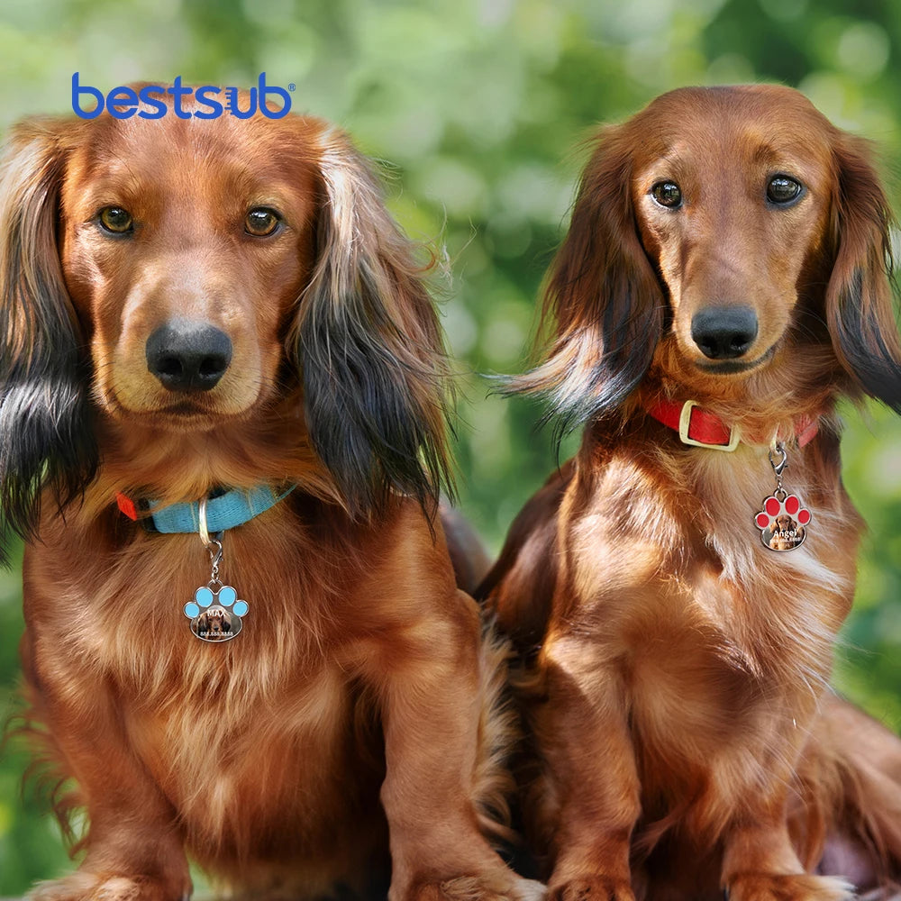 BestSub Wholesale Custom Gifts Sublimation Dog Tag